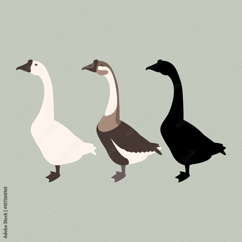 goose vector illustration style Flat set silhouette goose vector illustration style Flat set silhouette