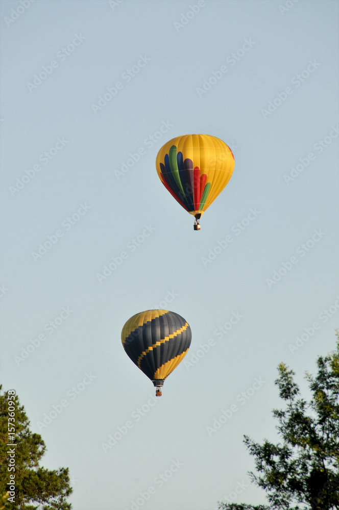 Fototapeta premium Hot Air Balloon