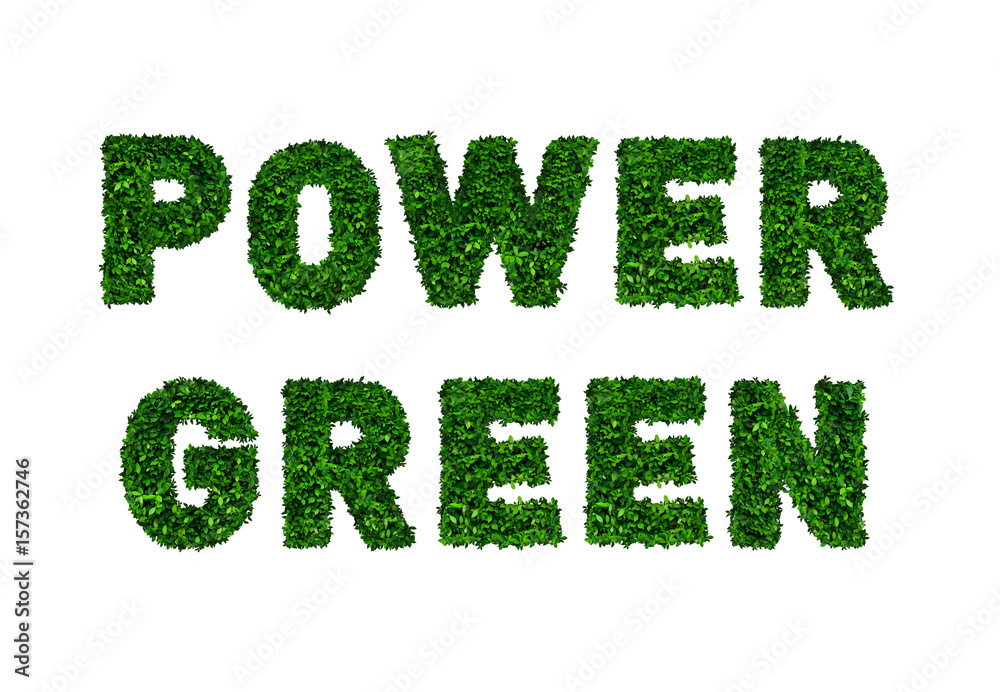 Fototapeta premium Power green, used by green leafs on white background