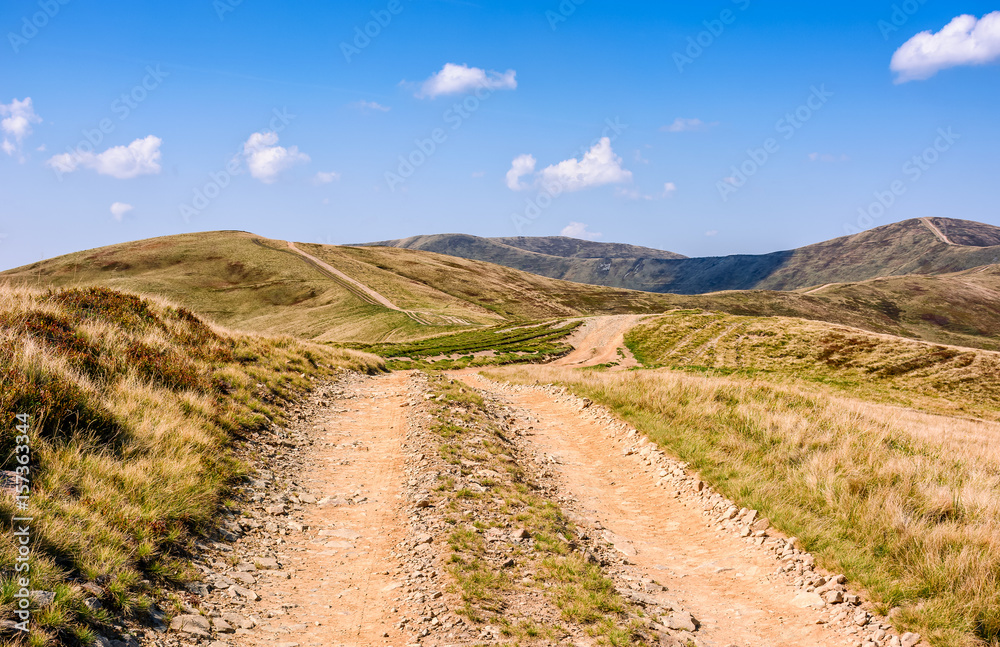Fototapeta premium path through the Carpathian mountain ridge