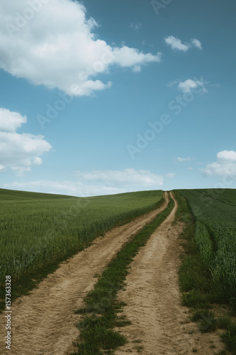 Dirt road across wheat field © Creaturart