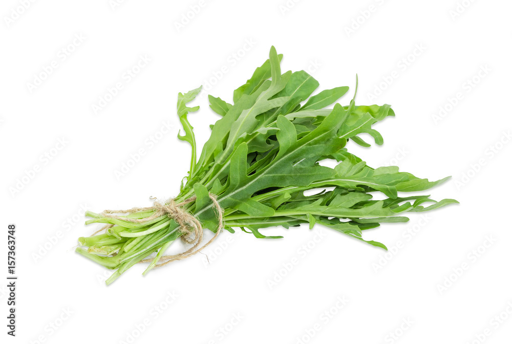 Bundle of the arugula tied with twine Bundle of the arugula tied with twine