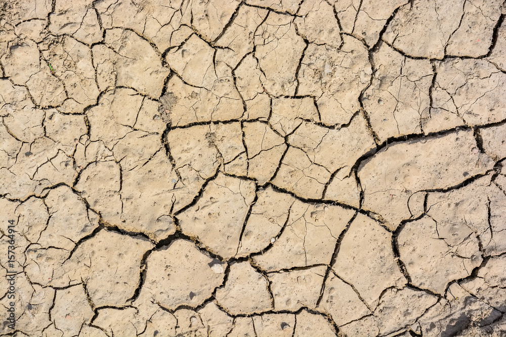 Cracked dry land in a desert Cracked dry land in a desert