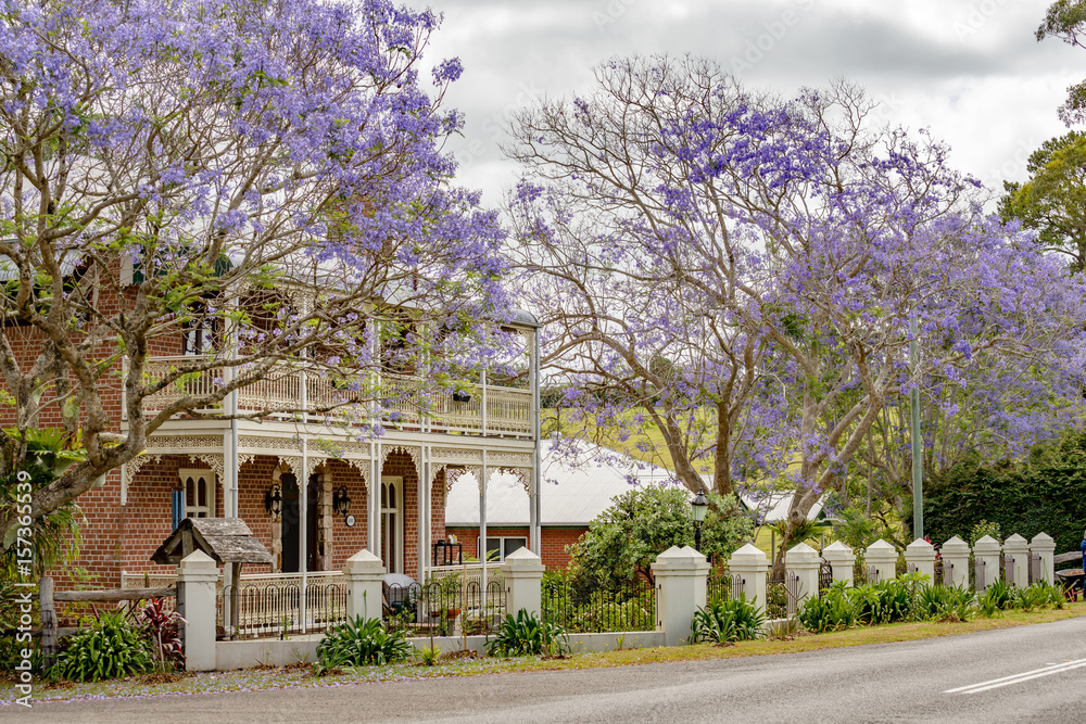 Jacaranda trees in full bloom outside of a beautiful Victorian house in South Australia.