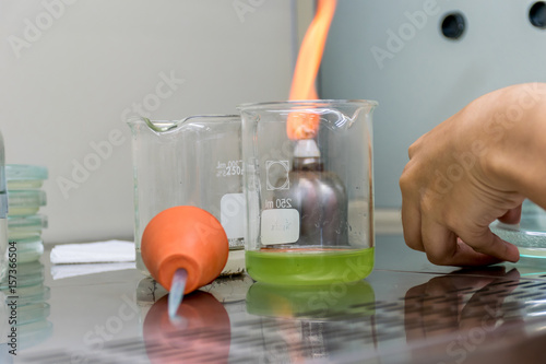Microbiologist test for phycology on plate with aseptic technique in a fume hood.