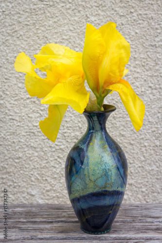 Fototapeta Naklejka Na Ścianę i Meble -  Blue vase with yellow iris. The vase stands on a wooden table on a background of beige wall.