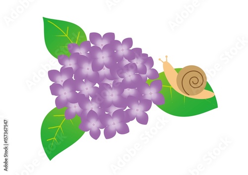 かたつむりと紫陽花（紫）