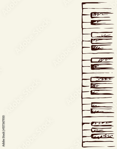 Piano Keys. Vector drawing