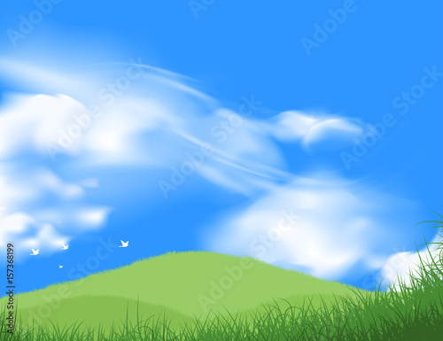 Beautiful green grass with blue sky and cloud scene vector nature landscape background