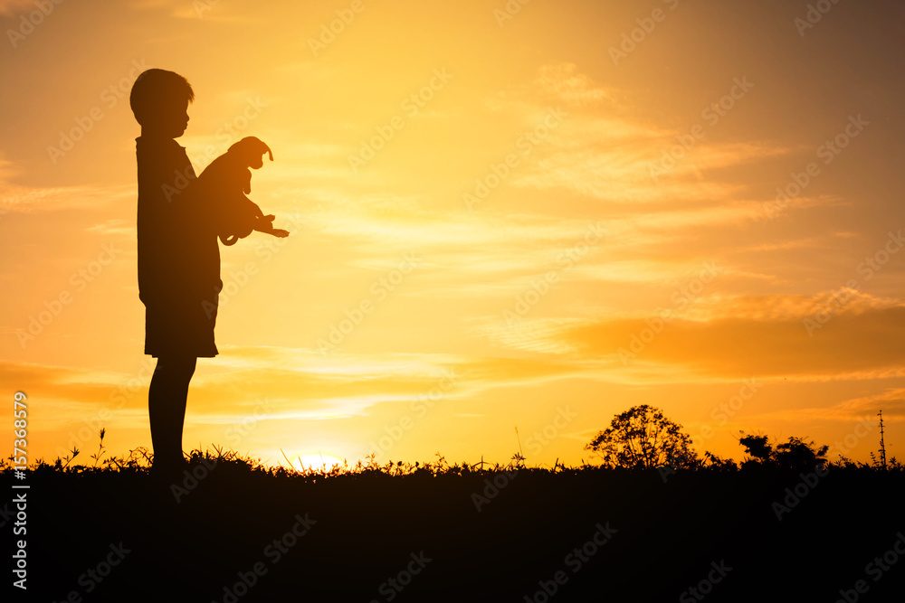 Silhouette child playing with dogs, Concept play with dog. Silhouette child playing with dogs, Concept play with dog.