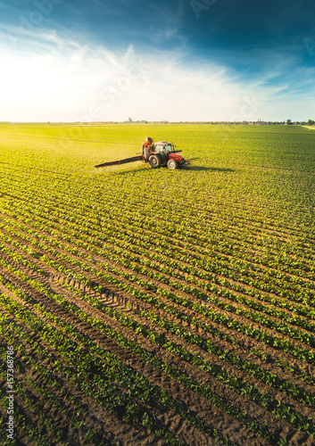 Tractor spraying soybean field at spring
