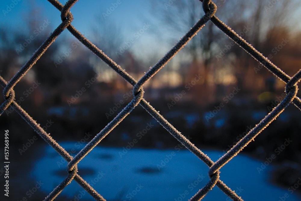 Behind the Fence