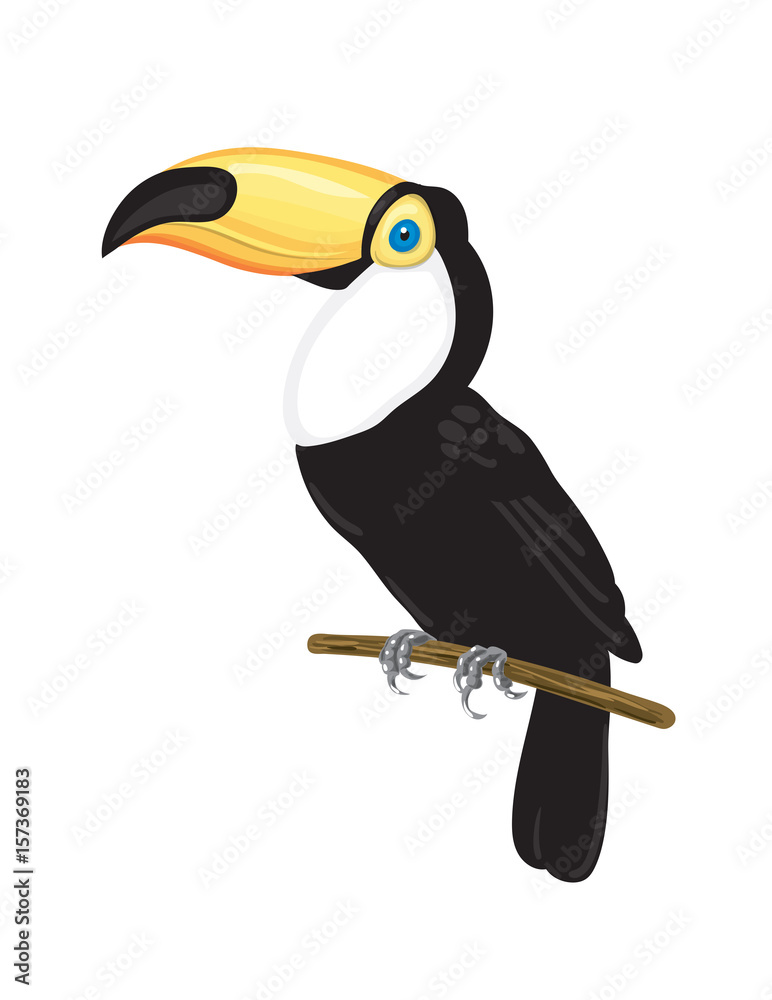 Fototapeta premium Toucan on branch. Tropical bird vector illustration on white background.