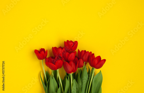 Bunch of bright red flowers