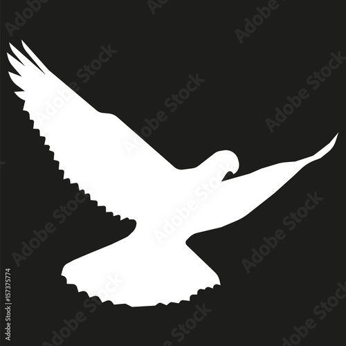 vector image of a dove flying