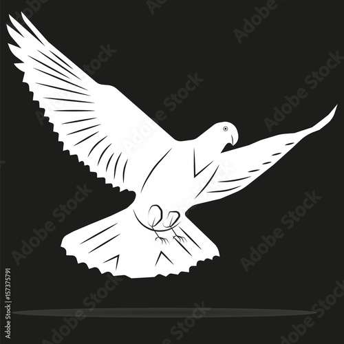 vector image of a dove flying