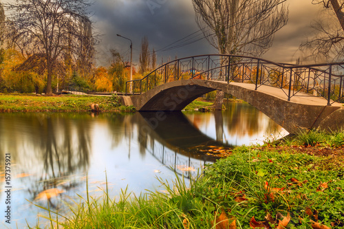 Bridge in the autumn forest