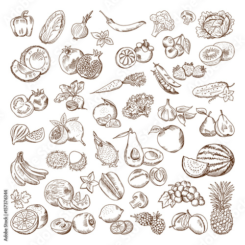 Fototapeta Naklejka Na Ścianę i Meble -  Vector hand drawn pictures of fruits and vegetables. Doodle vegan food illustrations