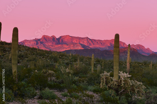 Sunset Ajo Range Organ Pipe Cactus NM landscape AZ photo