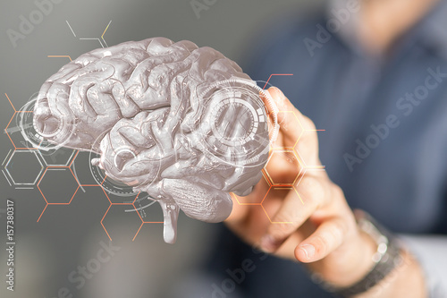 brain