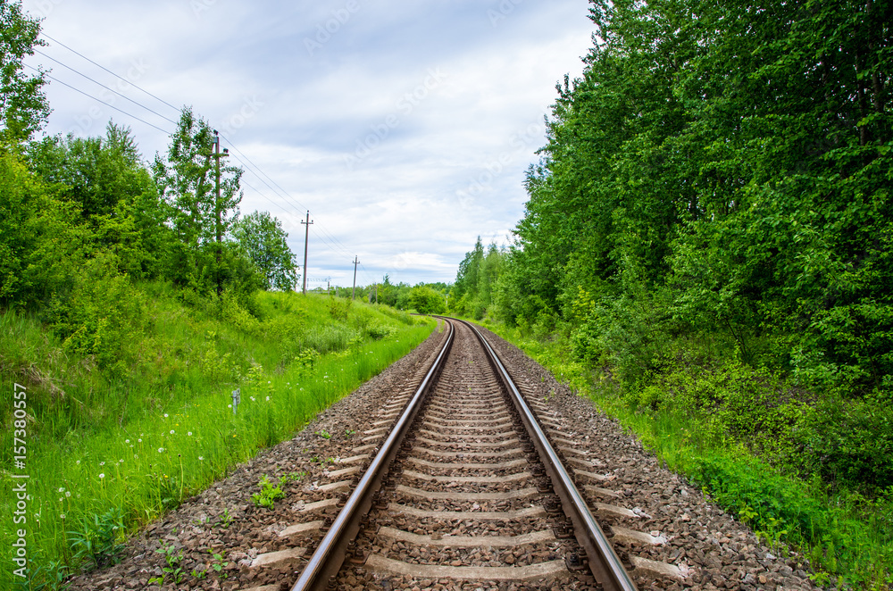 Empty railway track in green forest Empty railway track in green forest