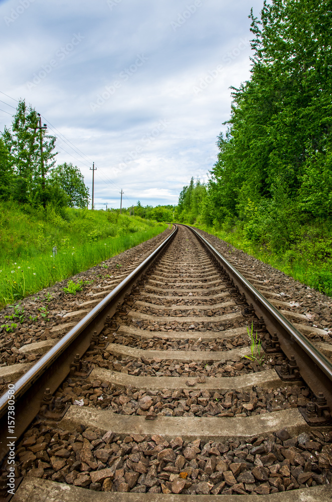 Fototapeta premium Empty railway track in green forest
