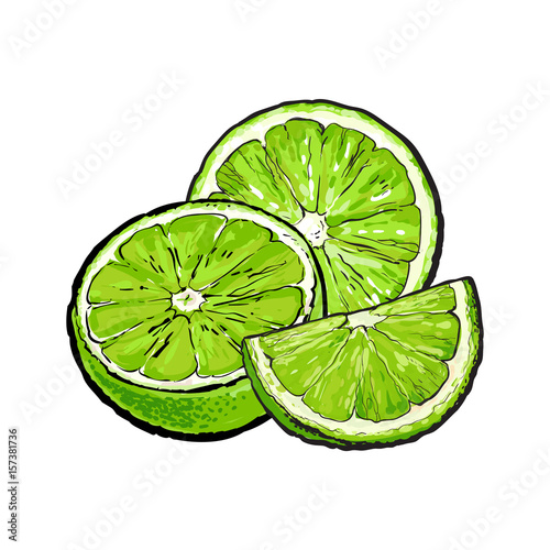 Unpeeled green lime halves and pieces, hand drawn sketch style vector illustration on white background. Hand drawing of unpeeled lime, half, quarter, side view