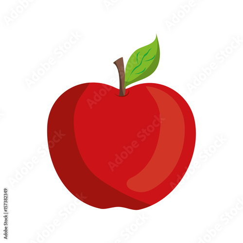 apple fruit icon over white background. vector illustration