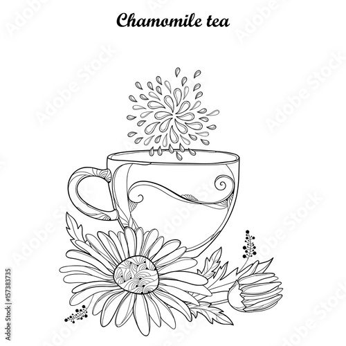 Vector cup of Chamomile herbal tea isolated on white background. Outline Chamomile flower and ornate petal in contour style for summer design, medicine, naturopathy, homeopathy, coloring book.