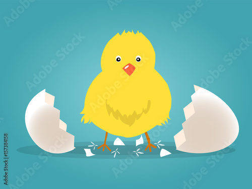Chick born broken shell egg vector