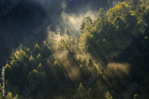 Fototapeta Naklejka Na Ścianę i Meble -  Foggy landscape. Misty morning in a valley of Bohemian Switzerland park. Landscape of Czech Republic