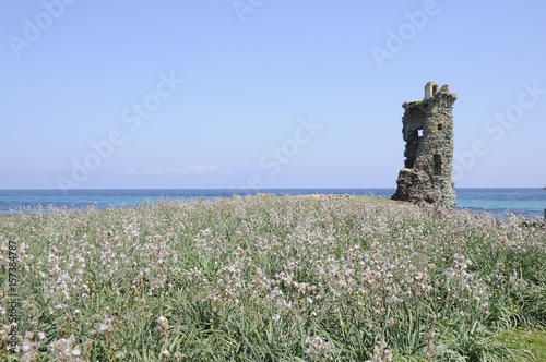 tour génoise, cap corse, plage de Tamarone