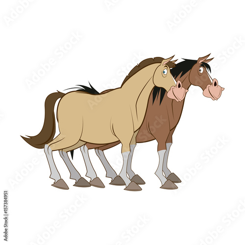 horse domestic animal  farming  agricultural species vector illustration