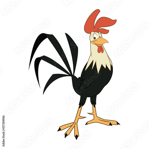 funny cartoon cock, comic rooster character, vector illustration