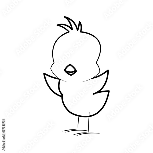 cute little chick baby animal bird cartoon vector illustration