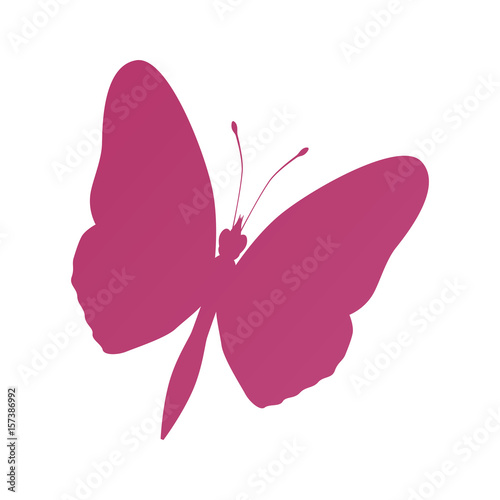Beautiful butterfly silhouette icon vector illustration graphic design © djvstock