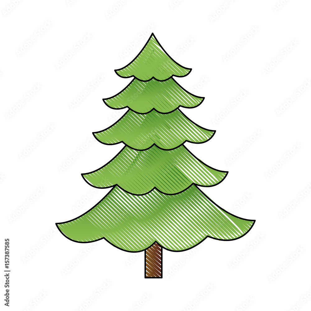 cartoon pine tree natural plant of forest image vector illustration cartoon pine tree natural plant of forest image vector illustration