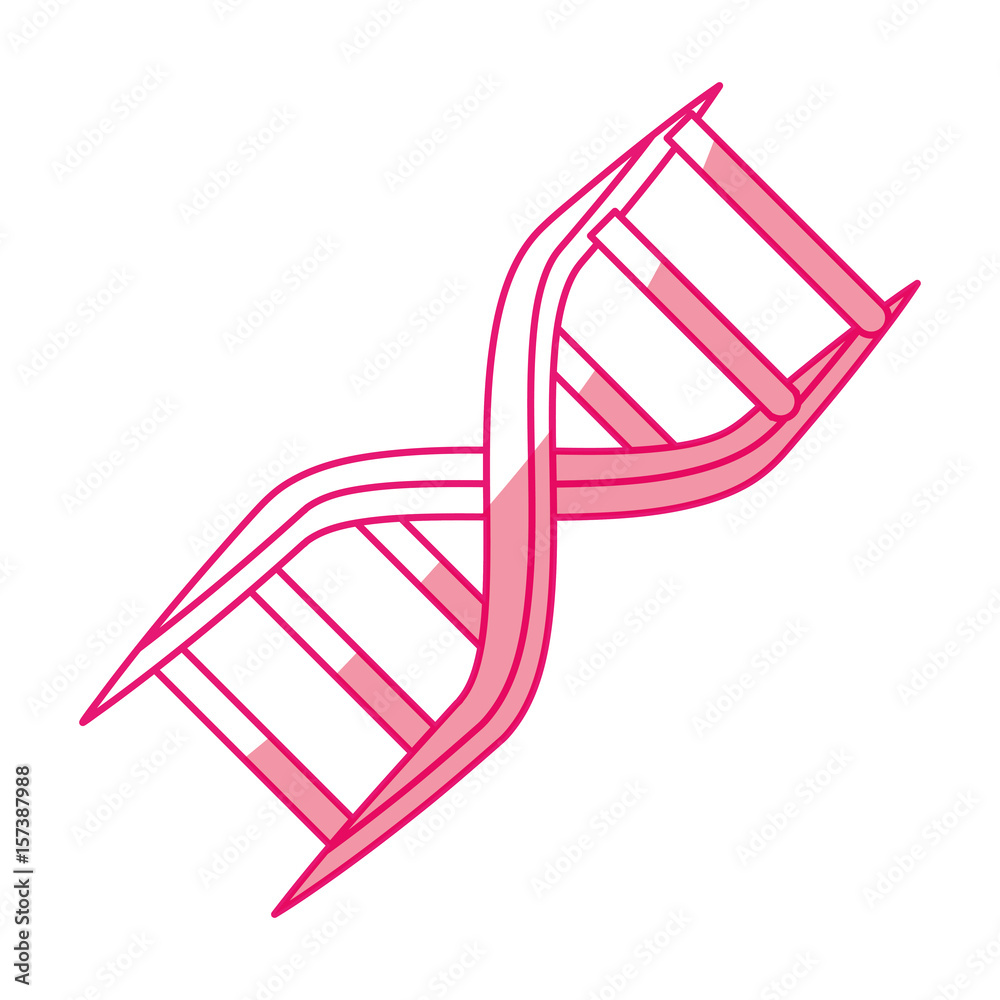 DNA human symbol icon vector illustration graphic design DNA human symbol icon vector illustration graphic design