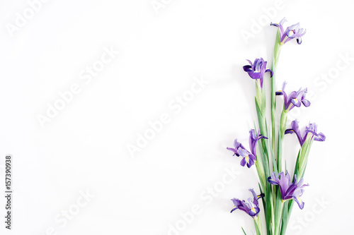 Fototapeta Naklejka Na Ścianę i Meble -  Beautiful purple iris flowers bouquet on white background. Flat lay, top view