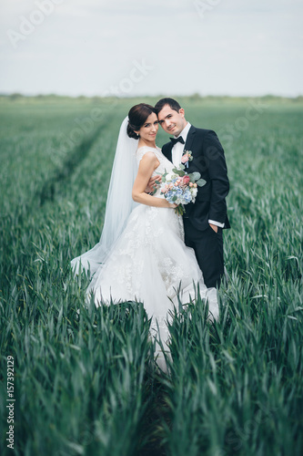 The beautiful couple in love embracing and standing on the field photo