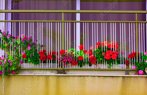 Fototapeta Naklejka Na Ścianę i Meble -  Bright flowers on the balkony