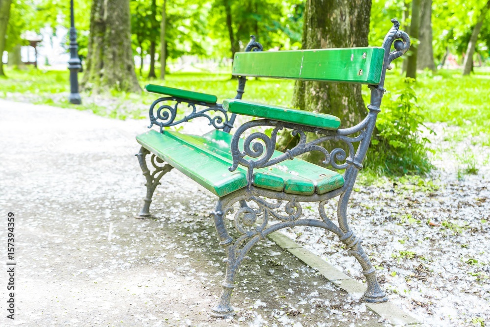 Green wooden bench in the park with poplar flower down Green wooden bench in the park with poplar flower down