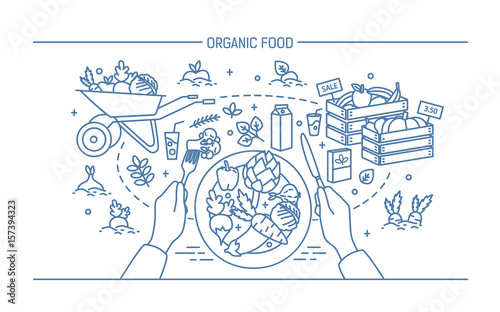 Horizontal banner with organic food. Composition with vegetables on plate  different fresh products  greenery  fruit  drinks. Monochrome vector illustration in lineart style.