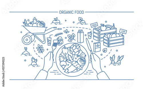 Horizontal banner with organic food. Composition with vegetables on plate, different fresh products, greenery, fruit, drinks. Monochrome vector illustration in lineart style.