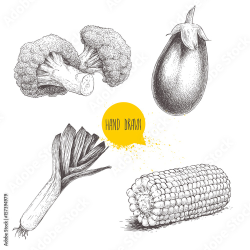 Hand drawn sketch style vegetables set. Leek , eggplant, broccoli and sweet corn maize piece. Farm fresh food isolated on white background.