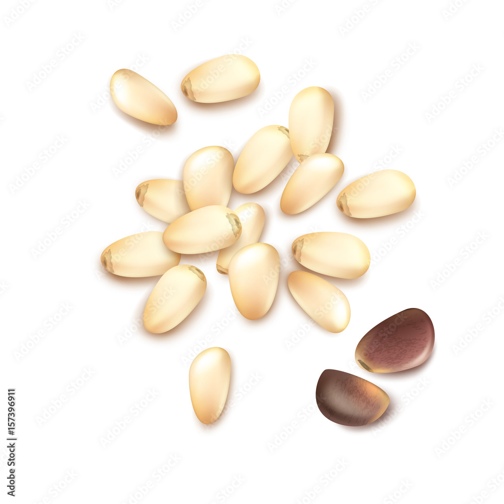 Pile of pine nuts Pile of pine nuts