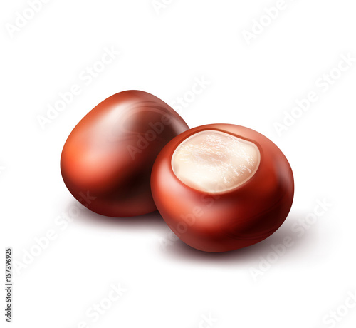Two horse chestnuts