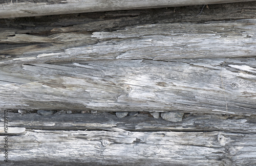 Wooden surface eroded by water. Old wood gray background