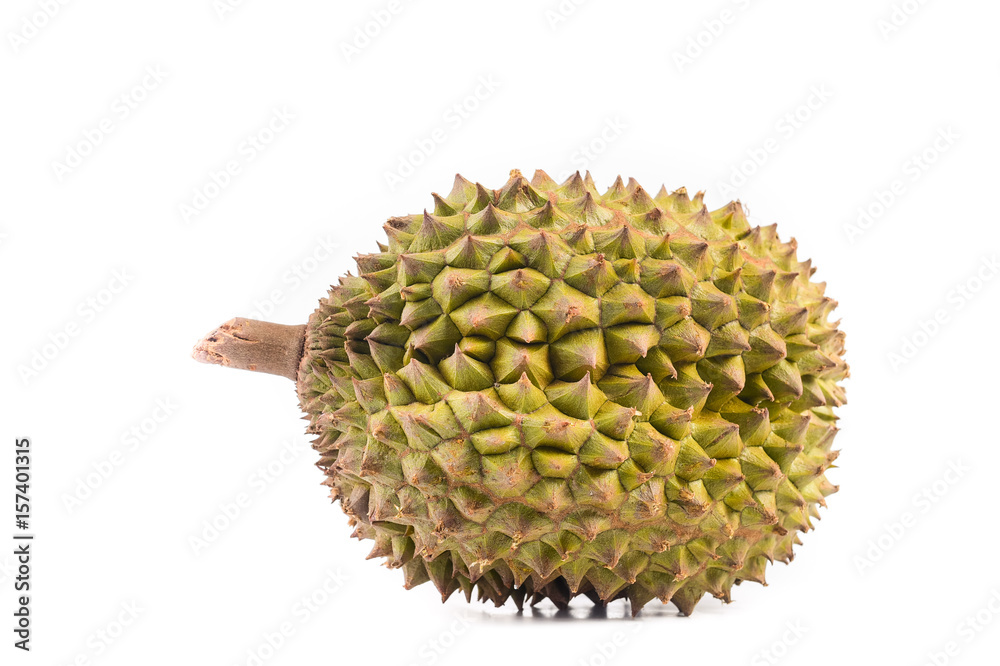 Durian isolated on white Durian isolated on white