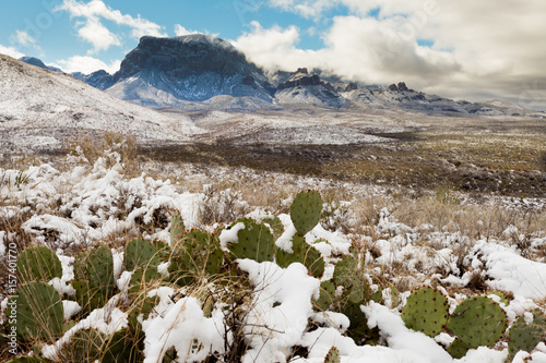 Chisos Mountains snowy desert Big Bend NP TX USA photo